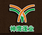  杭州神鹰雨蓬有限公司